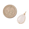 Natural Rose Quartz Pendants PALLOY-JF04776-01-2