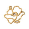 304 Stainless Steel Pendants X-STAS-S139-06G-09-1