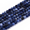 Natural Sodalite Beads Strands G-S362-070-1
