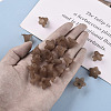 Transparent Acrylic Beads PLF018-14-6