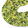 Natural Serpentine Beads Strands G-A260-A15-01-3