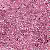 TOHO 8/0 Round Beads SEED-JPTR08-2212-2