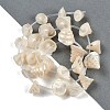 Natural Shell Beads Strands SHEL-K009-11-2