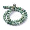 Natural Green Spot Jasper Beads Strands G-T055-8mm-16-2