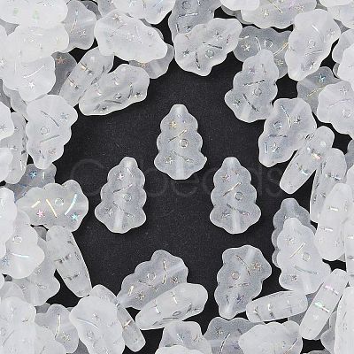 Frosted Transparent Acrylic Beads X1-OACR-P029-04B-01-1