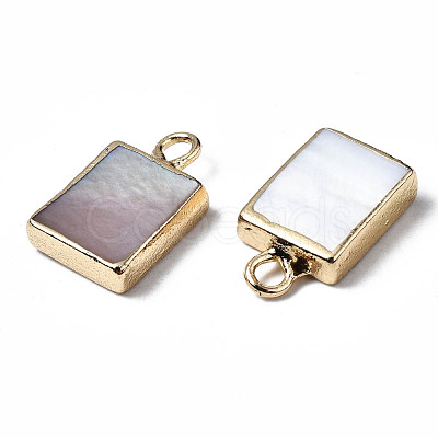 Natural Freshwater Shell Charms X-SHEL-N026-147-1