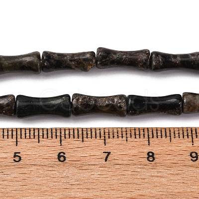 Natural Biotite Beads Strands G-L624-G09-12x5mm-1