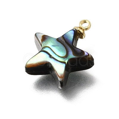 Natural Abalone Shell Pendants SH-CJC0AC7-01D-G-1