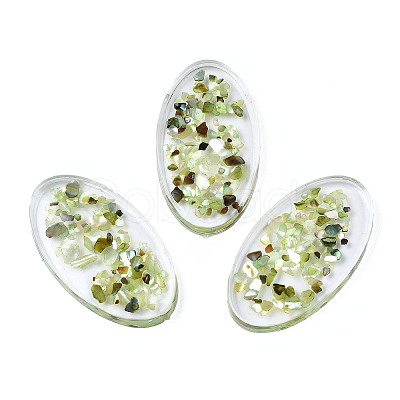 Transparent Acrylic Cabochons TACR-N006-66B-1