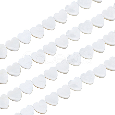 4 Strands Natural Freshwater Shell Beads Strands SHEL-HS0001-11-1