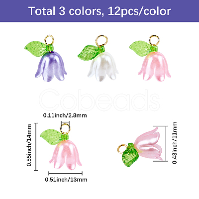 36Pcs 3 Colors Acrylic Charms KY-SC0002-45-1