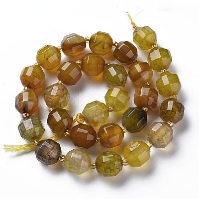 Natural Agate Beads Strands G-T131-118H-1
