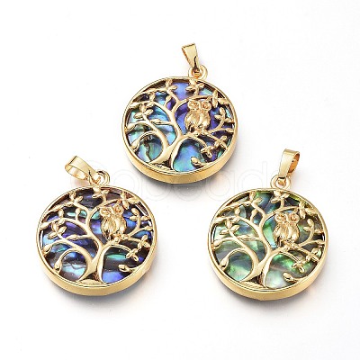 Natural Abalone Shell/Paua Shell Pendants BSHE-I014-G-1