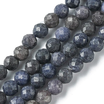 Natural Sapphire Beads Strands G-F748-M01-04-1