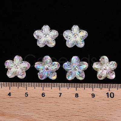Transparent Acrylic Beads TACR-S154-45C-205-1