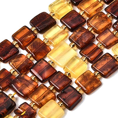 Natural Amber Beads Strands G-C260-A01-05-1