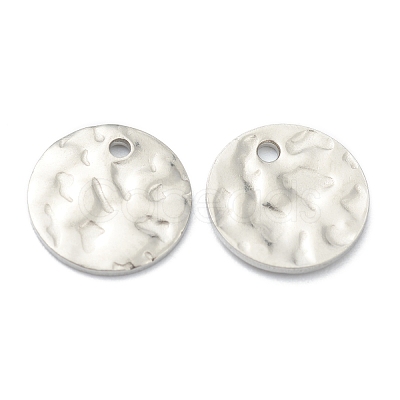 Tarnish Resistant 304 Stainless Steel Charms STAS-H157-03B-P-1