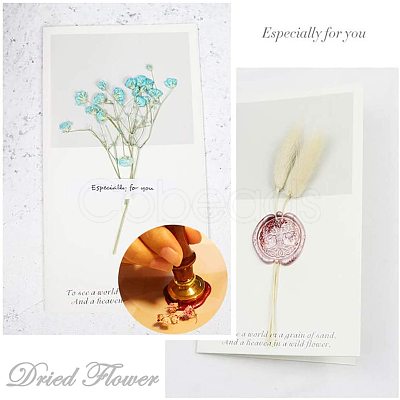 DIY Scrapbook AJEW-WH0100-030-1