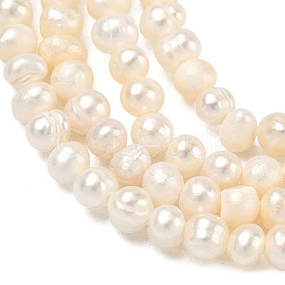Natural Cultured Freshwater Pearl Beads Strands PEAR-L034-03-1