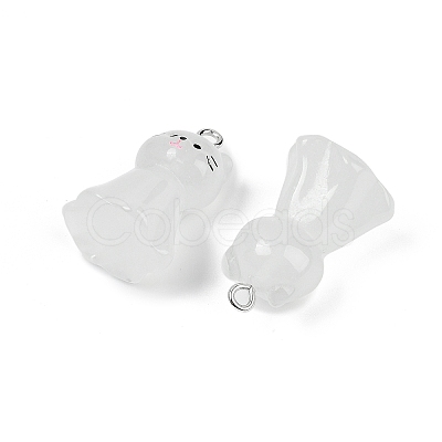Luminous Resin Pendants X-RESI-R460-01A-1