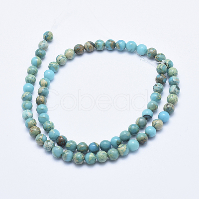 Natural Aqua Terra Jasper Beads Strands G-E444-14A-6mm-1