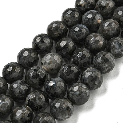Natural Larvikite Beads Strands G-E571-A09-03-1