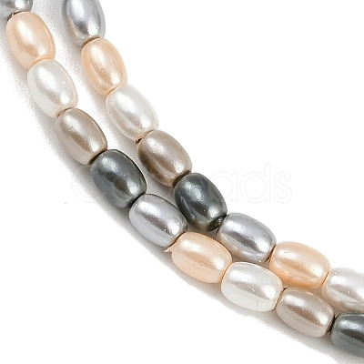 Electroplated Shell Pearl Beads Strands BSHE-H113-06B-03-1