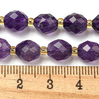 Natural Amethyst Beads Strands G-N342-54-1