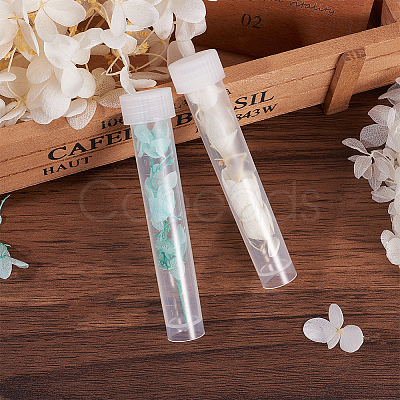 Clear Graduated Tube Plastic Bead Containers CON-BC0005-26-1