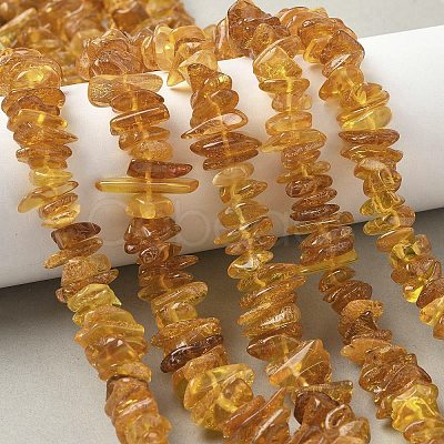 Natural Amber Beads Strands G-L095-D01-06-1