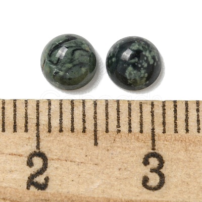 Natural Kambaba Jasper Cabochons G-Q173-01B-22-1