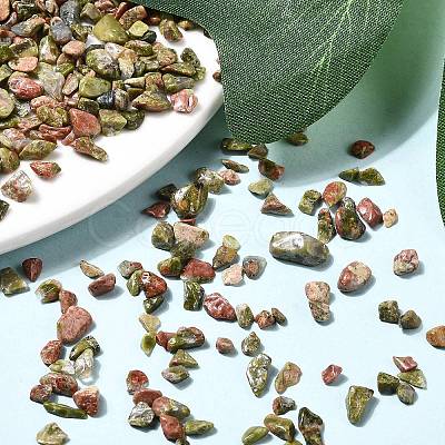 Natural Unakite Chip Beads G-O103-14-1
