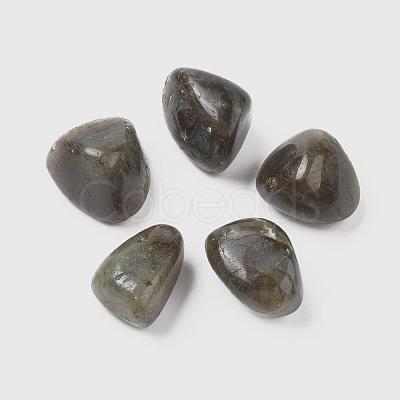 Natural Labradorite Beads G-K302-A09-1