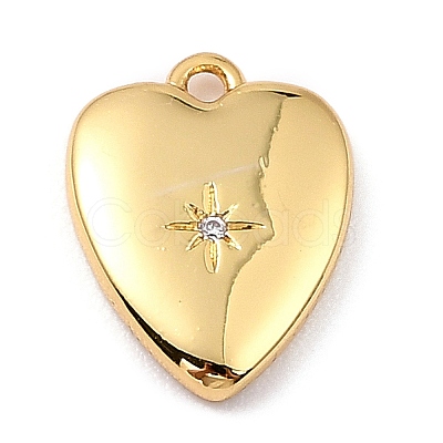 Brass Micro Pave Cubic Zirconia Charms LS-ZIRC-I054-14G-03-1