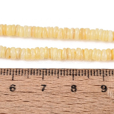 Natural Freshwater Shell Beads Strands SHEL-Q028-01B-1