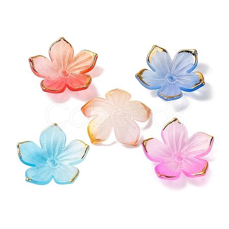 Transparent Acrylic Bead Caps TACR-P011-03G-1