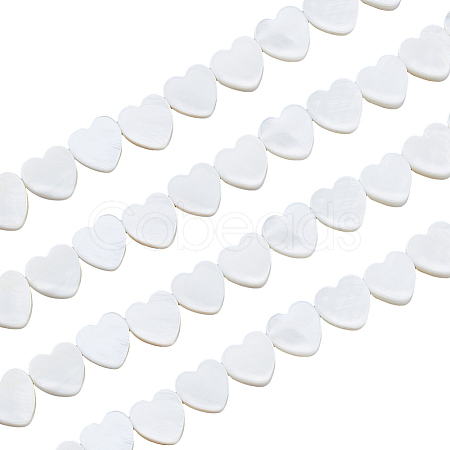 4 Strands Natural Freshwater Shell Beads Strands SHEL-HS0001-11-1