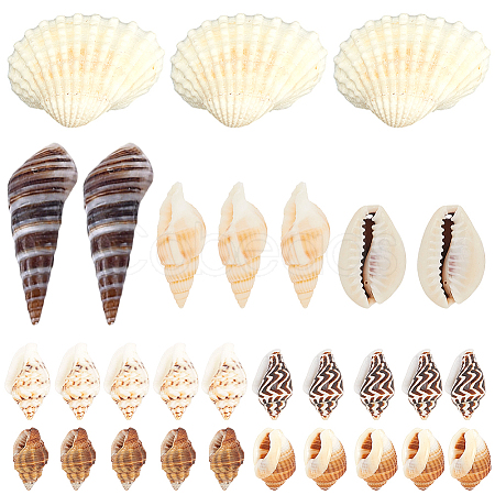 8 Style Shell/Starfish/Conch Ornament DJEW-SC0001-06-1