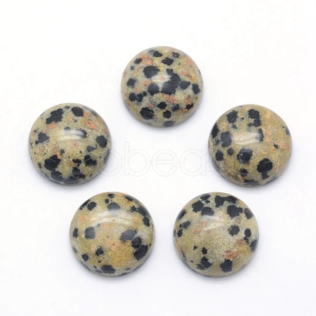 Natural Dalmatian Jasper Cabochons X-G-P393-R33-12mm-1