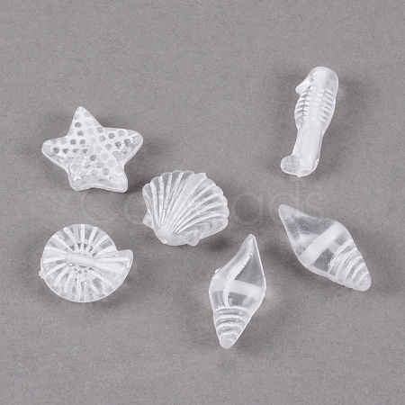 Craft Style Transparent Acrylic Charms TACR-S131-07-1