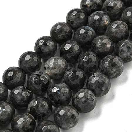 Natural Larvikite Beads Strands G-E571-A09-03-1