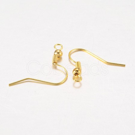 Iron Earring Hooks X-E135-G-1