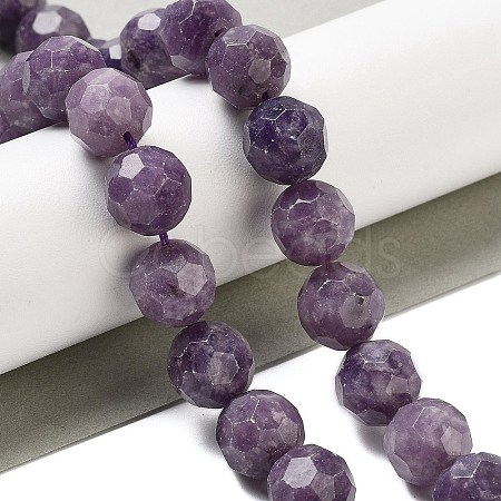 Natural Lepodolite Beads Strands G-C150-B03-02-1