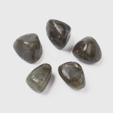 Natural Labradorite Beads G-K302-A09-1