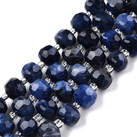 Natural Sodalite Beads Strands G-N327-08X-1