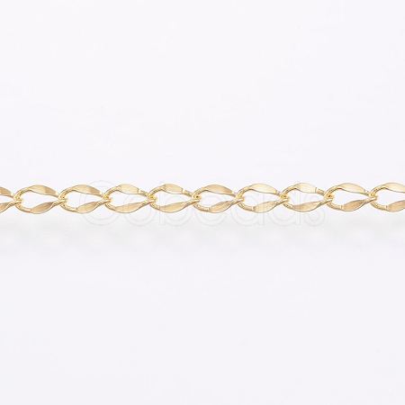 3.28 Feet Handmade Ion Plating(IP) 304 Stainless Steel Twisted Chain Curb Chains X-CHS-H007-57B-1