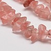Cherry Quartz Glass Chip Beads Strands G-L269-41-2
