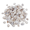 400G Natural Shell Beads SHEL-GA0002-31-1