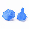 Transparent Acrylic Beads BSF796-C05-2