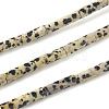 Natural Dalmatian Jasper Beads Strands G-F247-21-1
